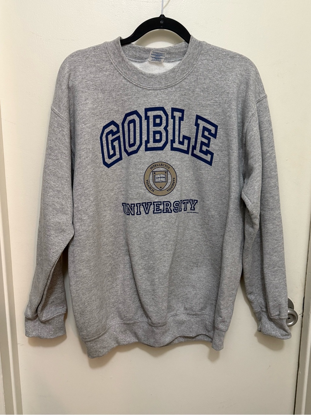 Gildan Goble University Men's Gray Crewneck Sweatshirt